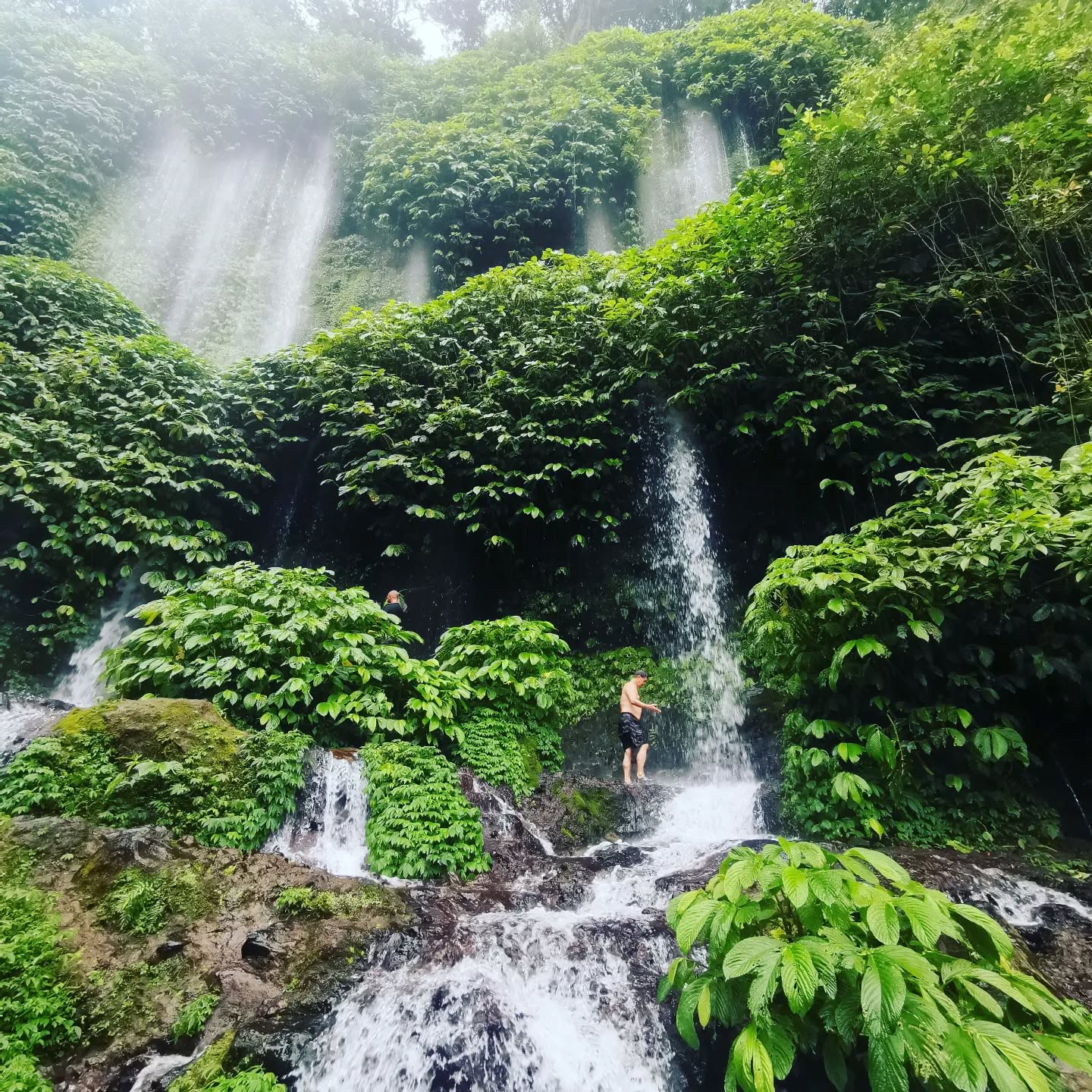Lush green waterfall in the jungle with clear blue pool below