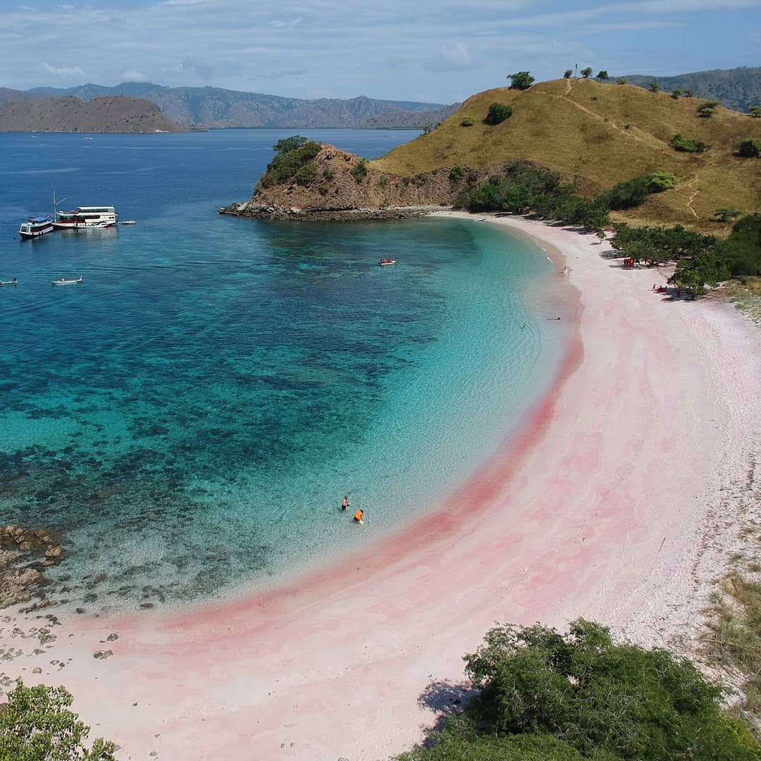 Unique pink sandy beach with turquoise blue water and tropical surroundings