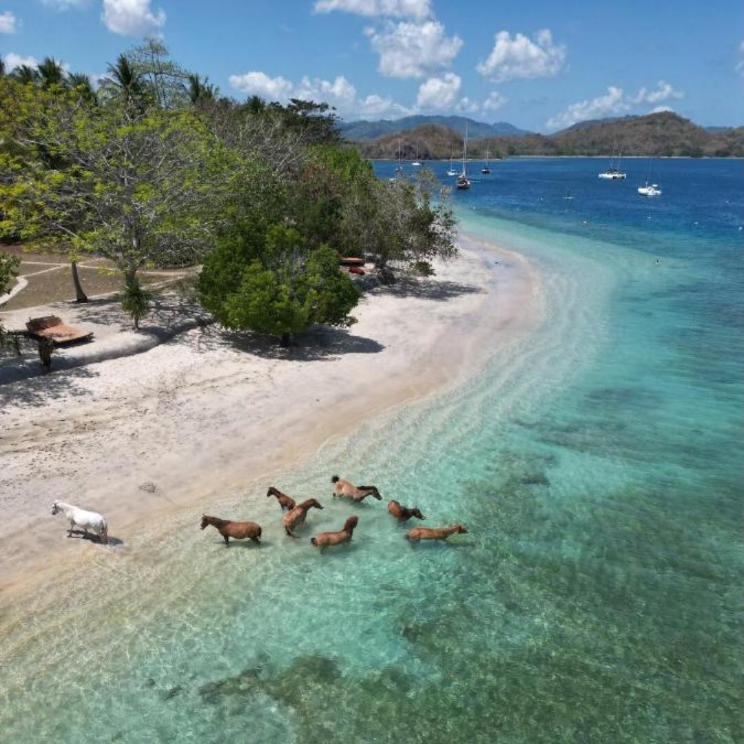 Gili Asahan