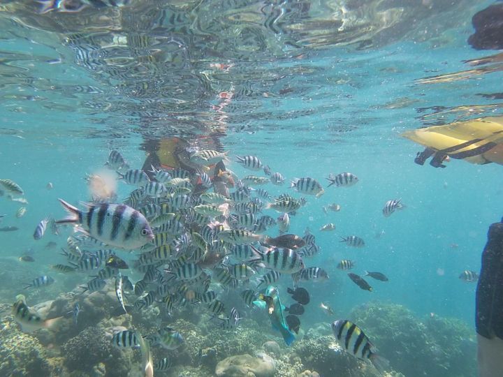 Gili Nanggu