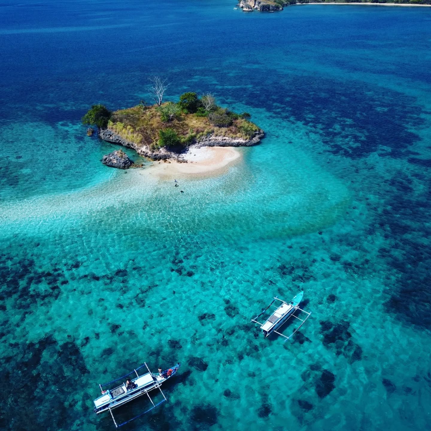 Gili Petelu